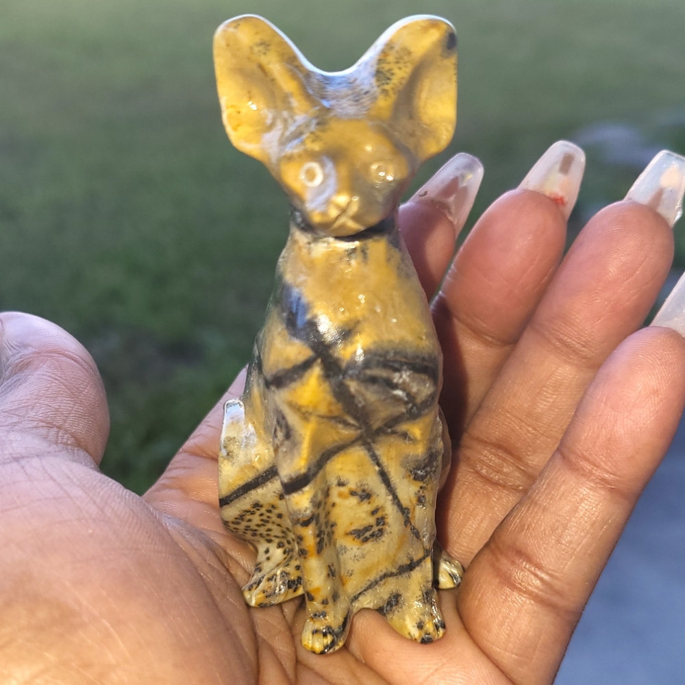 Picture Jasper Sphynx Cat